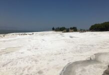 Yıldırım Bayezid ve Merkezi Devletin Temelleri